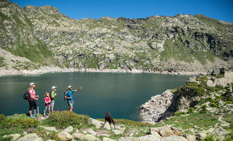 Tourisme gastronomique et modèles économiques